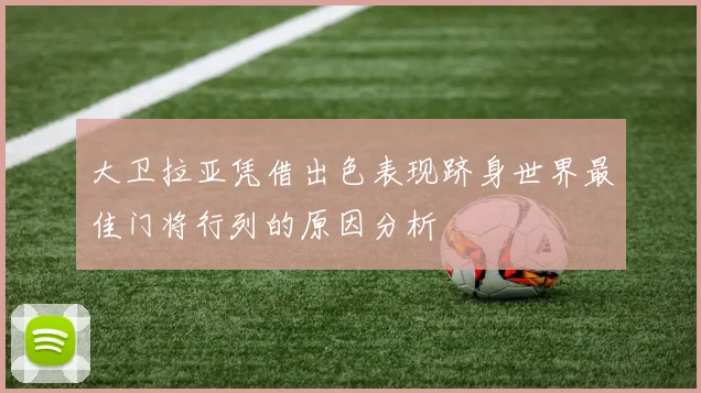 大卫拉亚凭借出色表现跻身世界最佳门将行列的原因分析