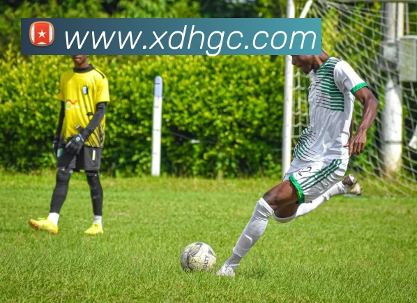 九游体育娱乐官网地址APP 封面图